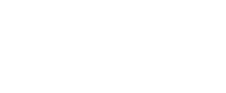 LOGOTIPO MONOCROMÁTICO PRETO AMAZON PALACE 2